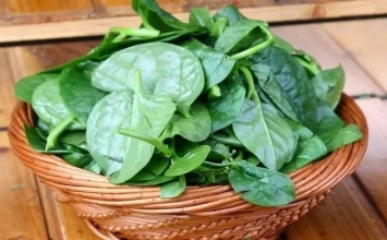 Tác dụng kỳ diệu của loại rau mệnh danh là ‘bảo vật’, ở Việt Nam đâu đâu cũng có!
